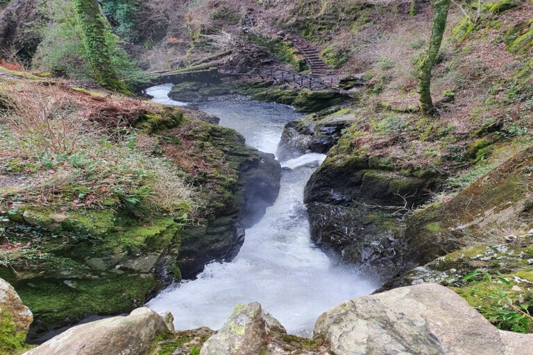 Aira Force